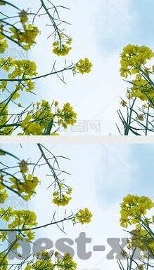 球探网足球比分直播-球探网足球比分直播，球迷的实时观赛新体验