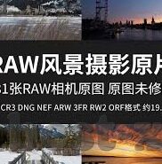 足球比分t-足球比分，绿茵场上的数字密码与激情乐章